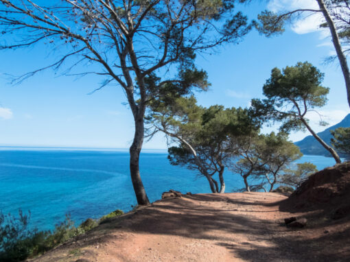 Hike: Coastal Route from Port des Canonge