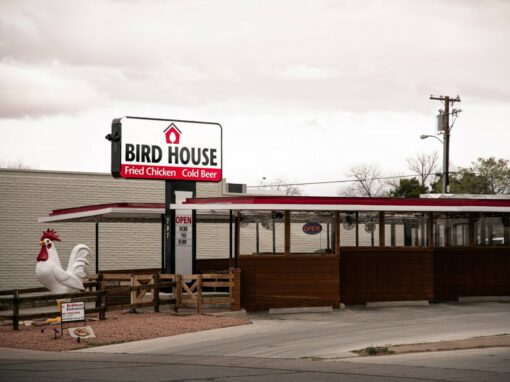 PAGE, AZ | Birdhouse