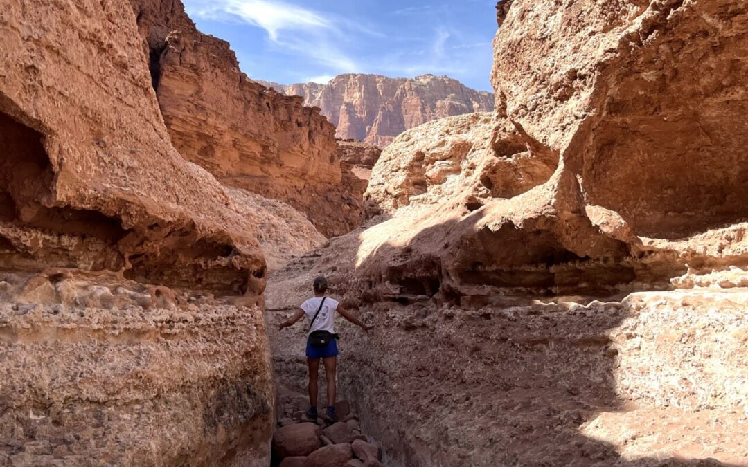 AZ | Top Hikes near Page & Lake Powell