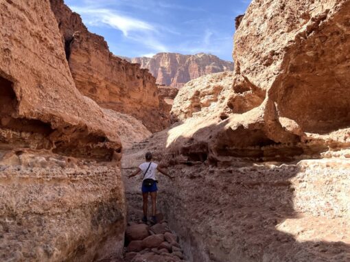 AZ | Top Hikes near Page & Lake Powell