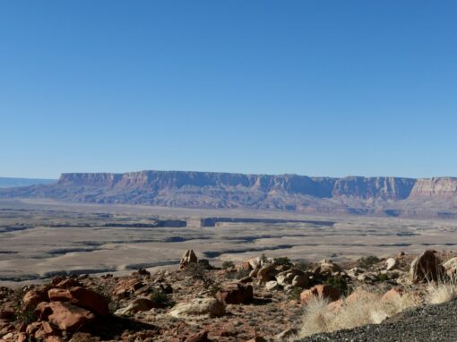 Protect Arizona & Utah