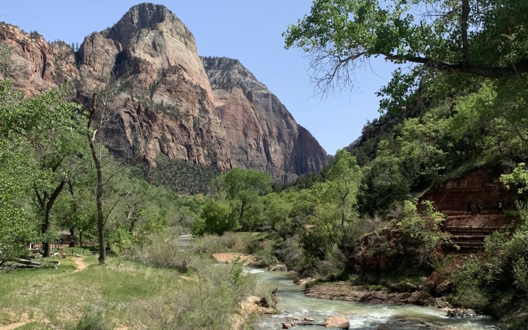 UTAH | Zion National Park