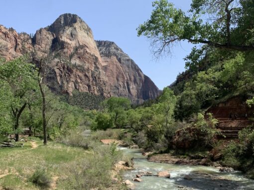 UTAH | Zion National Park