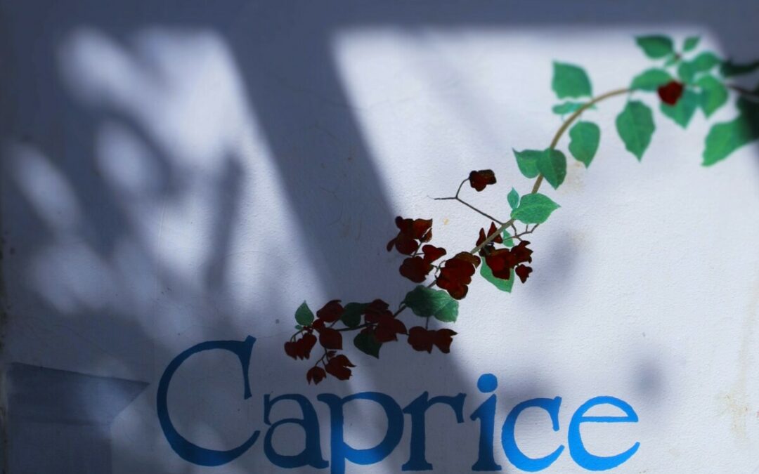 Caprice