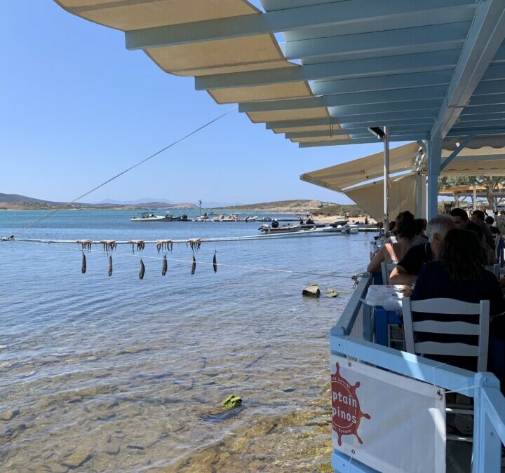 ANTIPAROS | Captain Pipinos