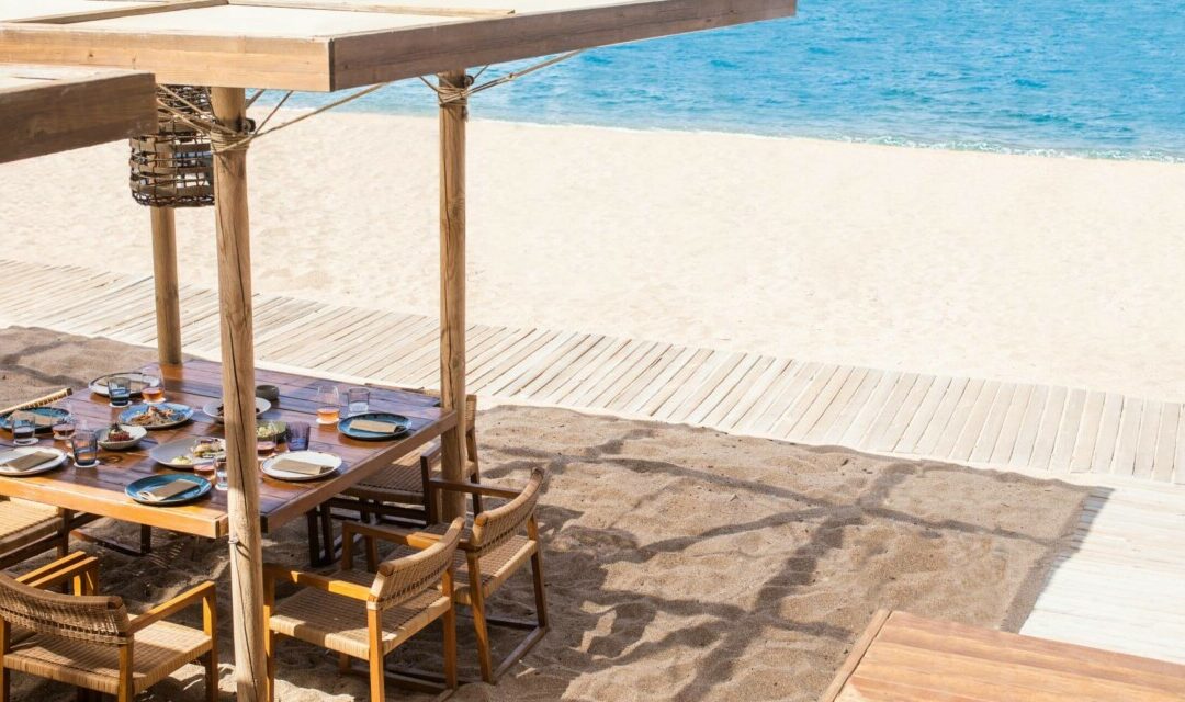 COSTA NAVARINO | Barbouni