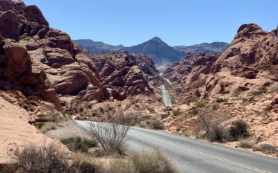 NEVADA