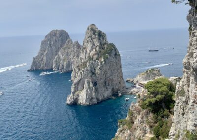 CAPRI